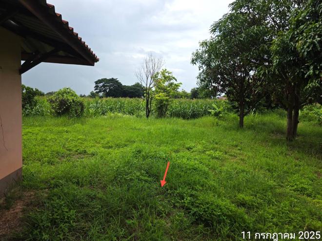 picture HOME for sale  Ban Pin Dok Kham Tai Phayao - 14/32
