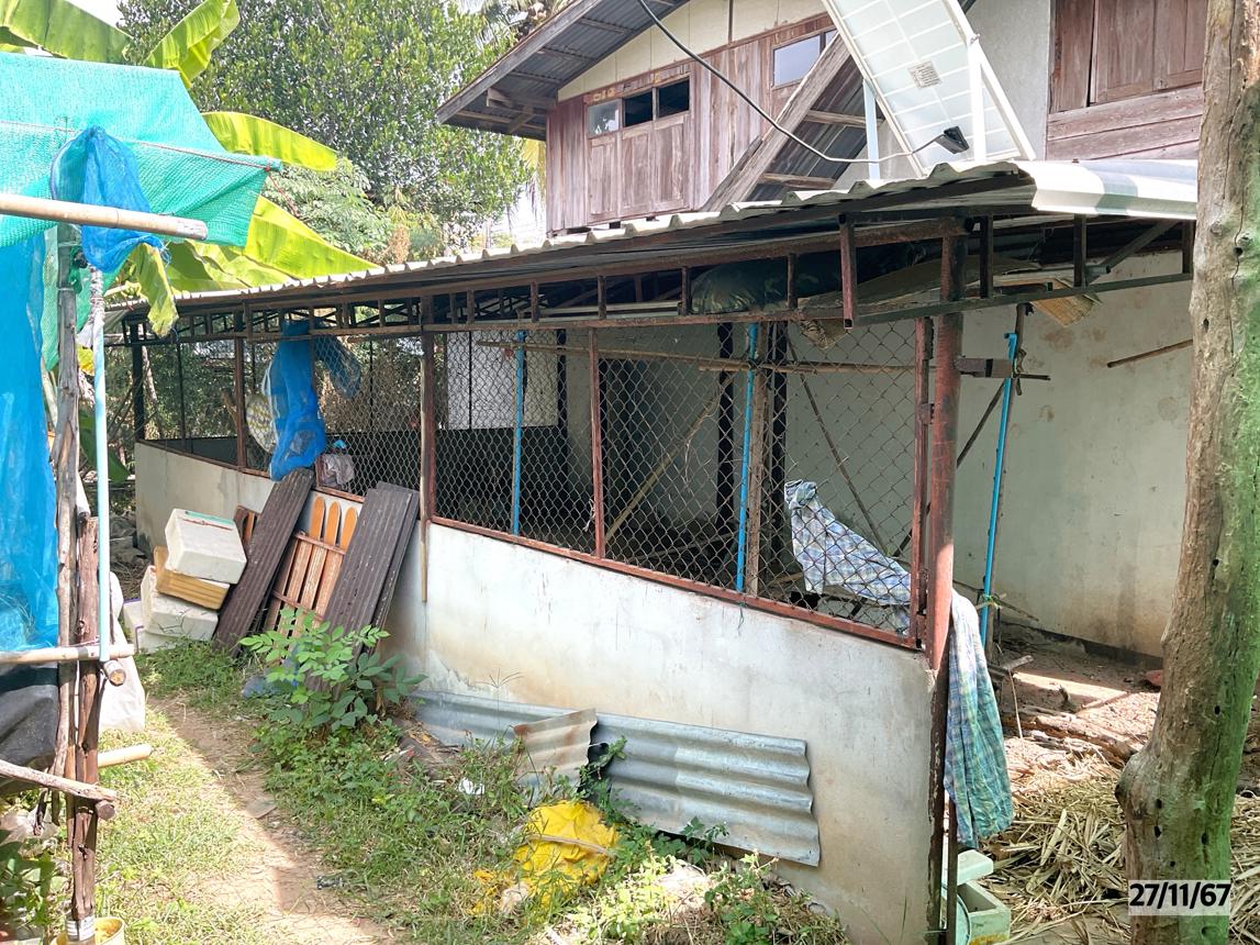 รูป บ้านเดี่ยว สำหรับขาย - โอโล ภูเขียว ชัยภูมิ - รูปที่ 10/16