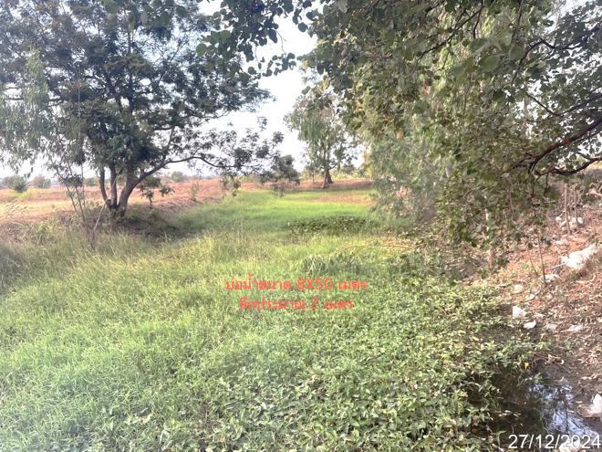 picture LAND for sale  Muang Hong Chaturaphak Phiman Roi Et - 7/18