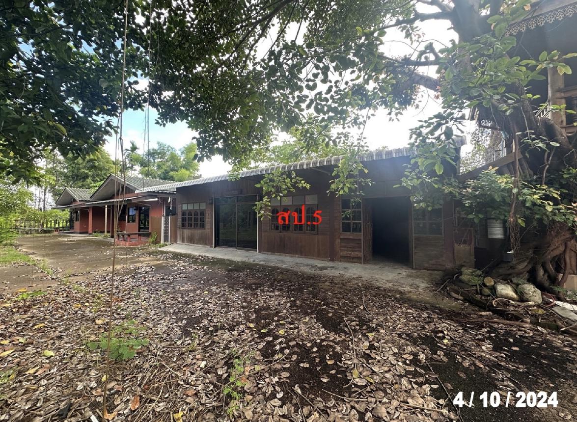 รูป บ้านเดี่ยว สำหรับขาย - ป่าบง สารภี เชียงใหม่ - รูปที่ 48/62