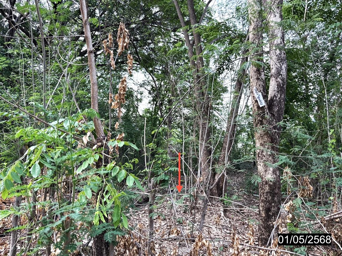 รูป ที่ดินว่างเปล่า สำหรับขาย - เมืองเก่า เมืองขอนแก่น ขอนแก่น - รูปที่ 15/24