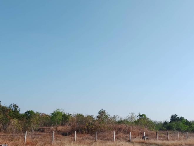 picture LAND for sale  Nong Phu Chaturaphak Phiman Roi Et - 7/18