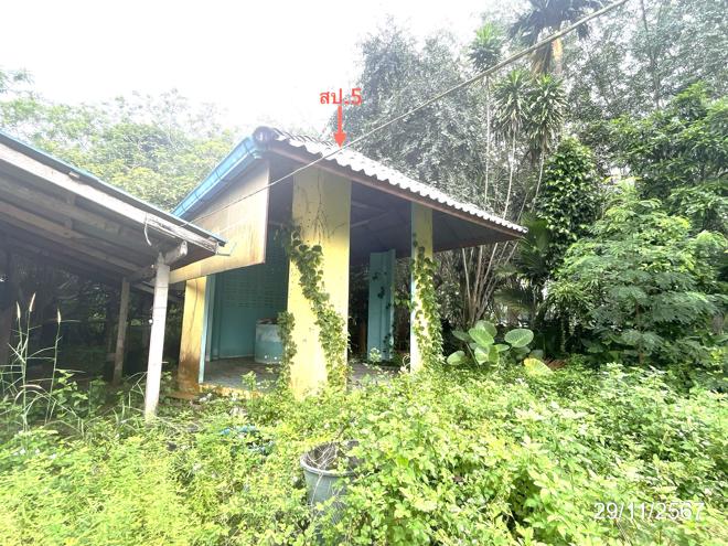 picture HOME for sale  Khunthale Muang Surat Thani Surat Thani - 16/44