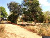 listing thumbnail image 11