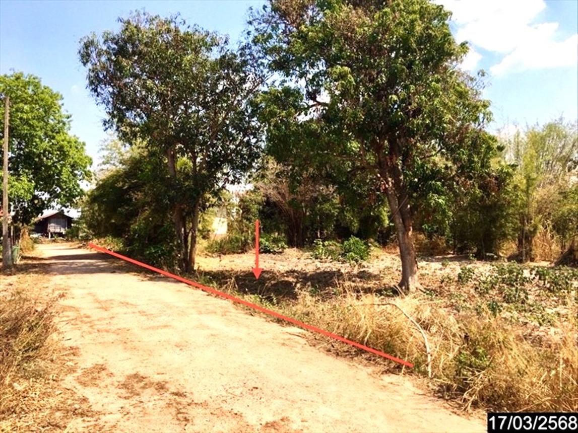 picture LAND for sale  Kung Kao Tha Khan Tho Kalasin - 12/22