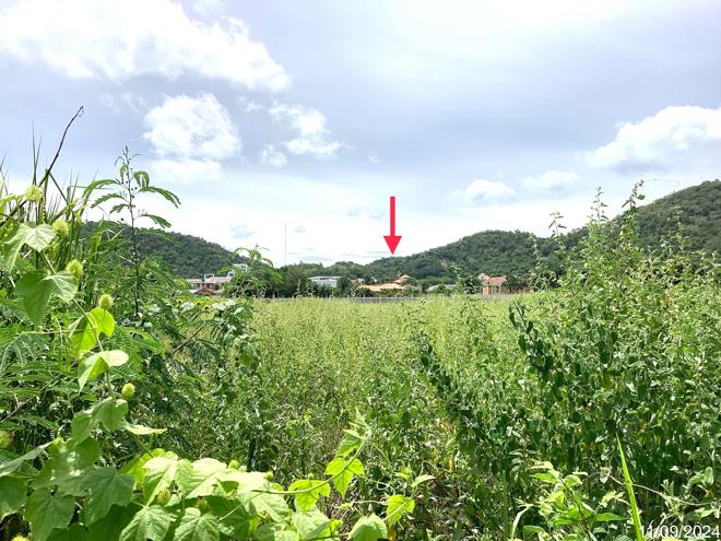 รูป ที่ดินว่างเปล่า สำหรับขาย - หัวหิน หัวหิน ประจวบคีรีขันธ์ - รูปที่ 6/16