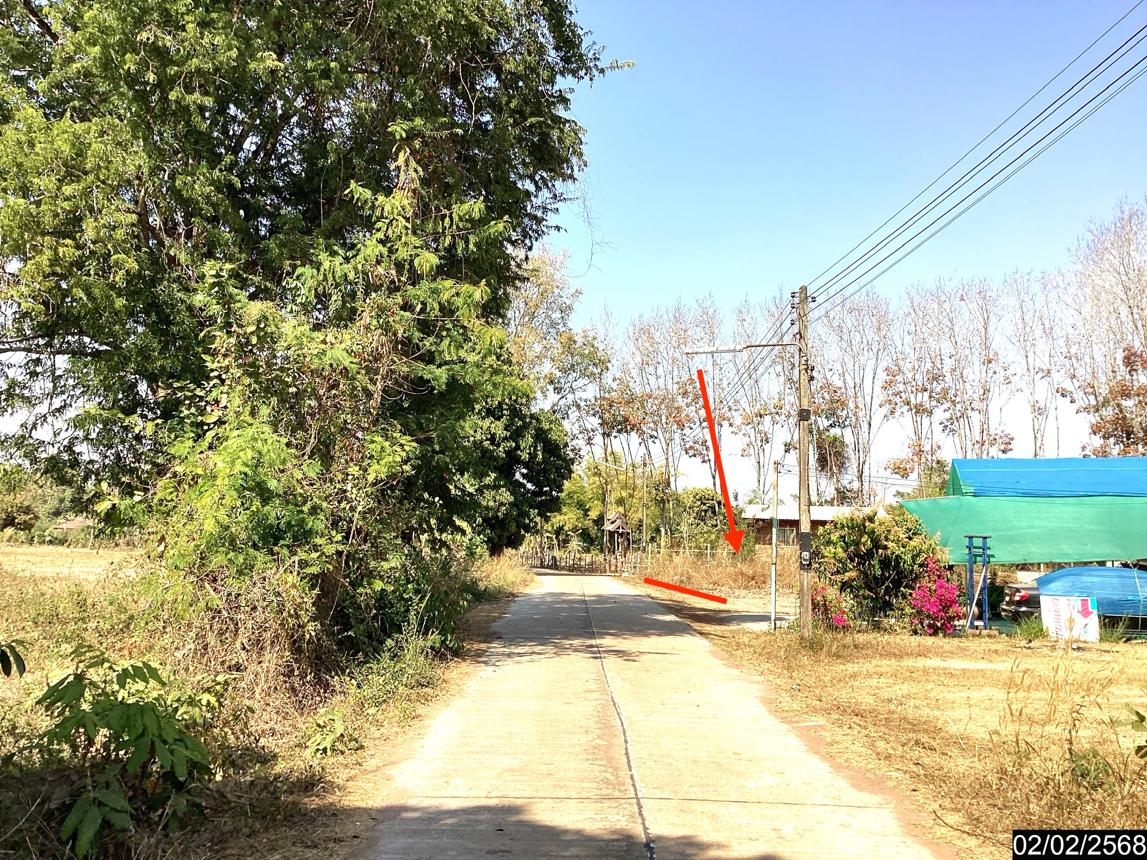 picture LAND for sale  Song Dao Song Dao Sakon Nakhon - 12/18