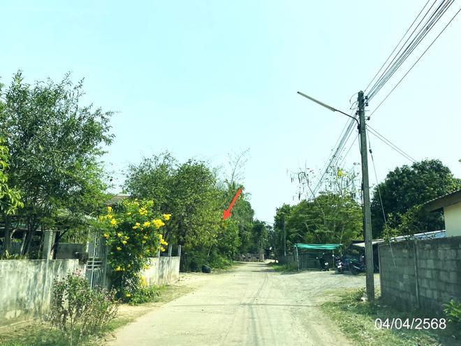 รูป ที่ดินว่างเปล่า สำหรับขาย - หนองใหญ่ โพนทอง ร้อยเอ็ด - รูปที่ 10/24