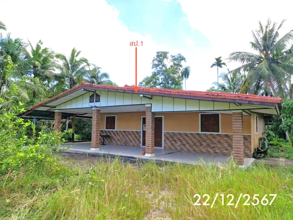 รูป บ้านเดี่ยว สำหรับขาย - นาตาล่วง เมืองตรัง ตรัง - รูปที่ 11/24