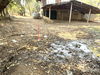 listing thumbnail image 14