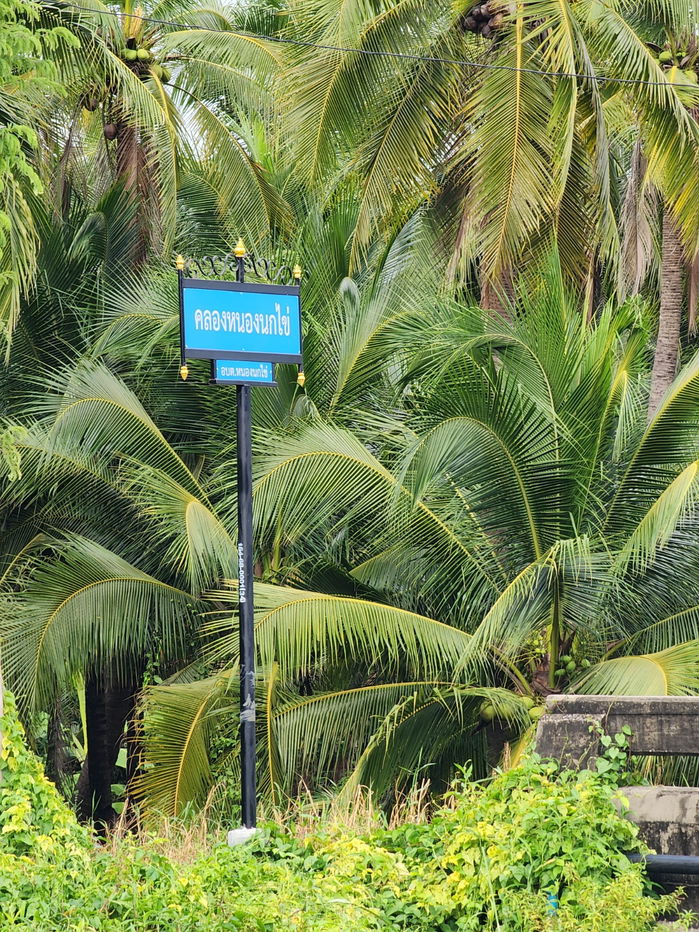 รูป ขายด่วน! ที่ดินพร้อมสวนมะพร้าวบ้านแพ้วกว่า 8 ไร่! ราคาดี ในหนองนกไข่ กระทุ่มแบน สมุทรสาคร ผังเมืองเขียวลาย หน้ากว้าง 80 เมตร ลึก 160 เมตร  - รูปที่ 12/17