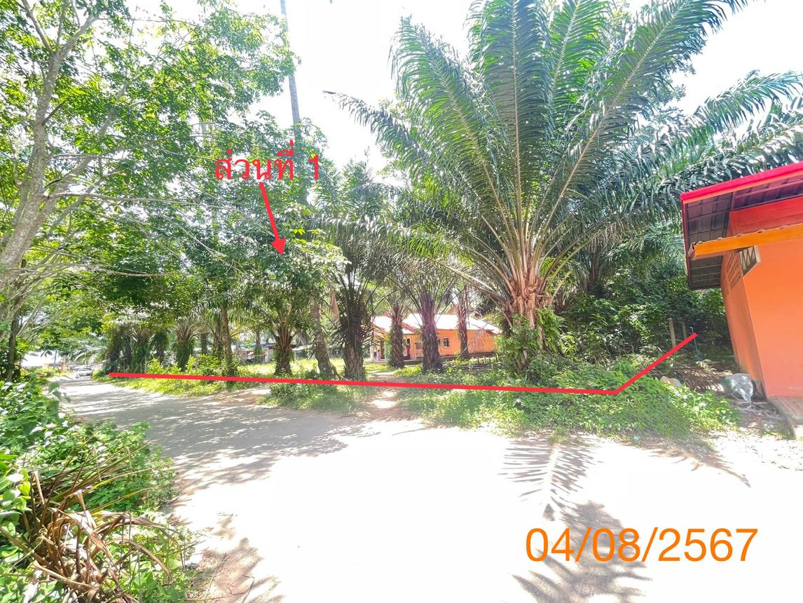 รูป บ้านเดี่ยว สำหรับขาย - คลองพน คลองท่อม กระบี่ - รูปที่ 13/24