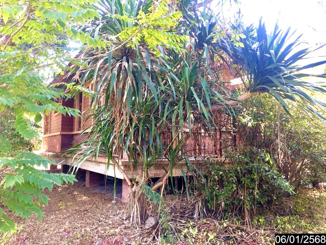 picture HOME for sale  Nong Bua Ban Fang Khon Kaen - 9/18