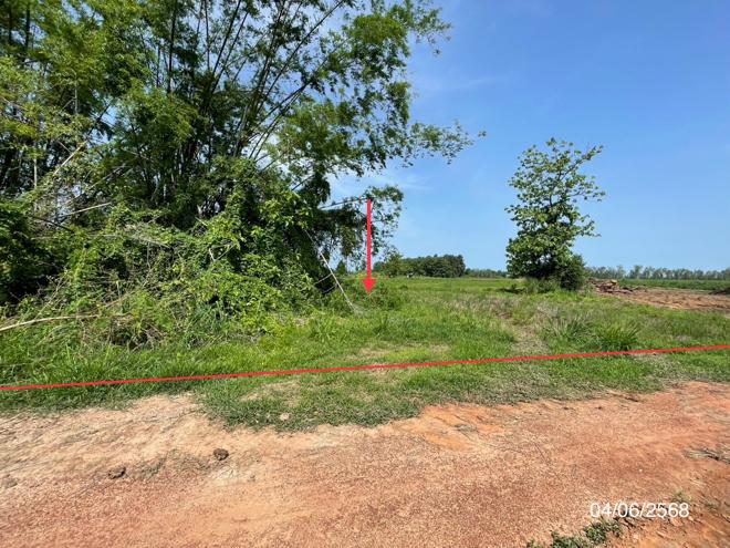 picture LAND for sale  Noen Kum Bang Krathum Phitsanulok - 1/22