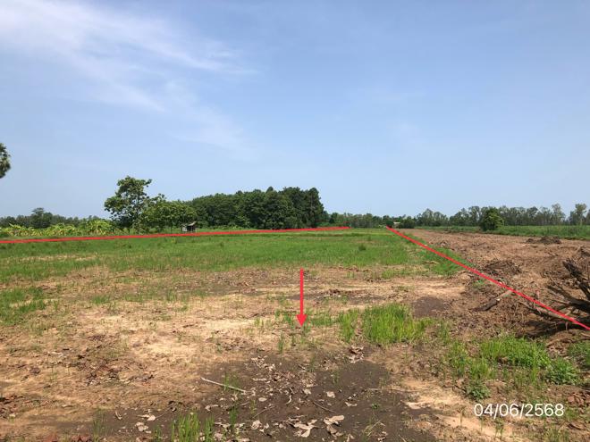 picture LAND for sale  Noen Kum Bang Krathum Phitsanulok - 6/22