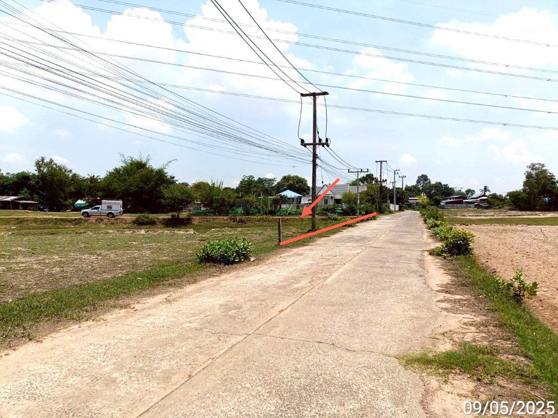 picture LAND for sale  Nua Muang Muang Roi Et Roi Et - 13/20