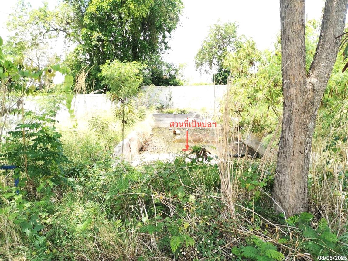 picture HOME for sale  Huai Bong Chalermphrakiet Saraburi - 38/42