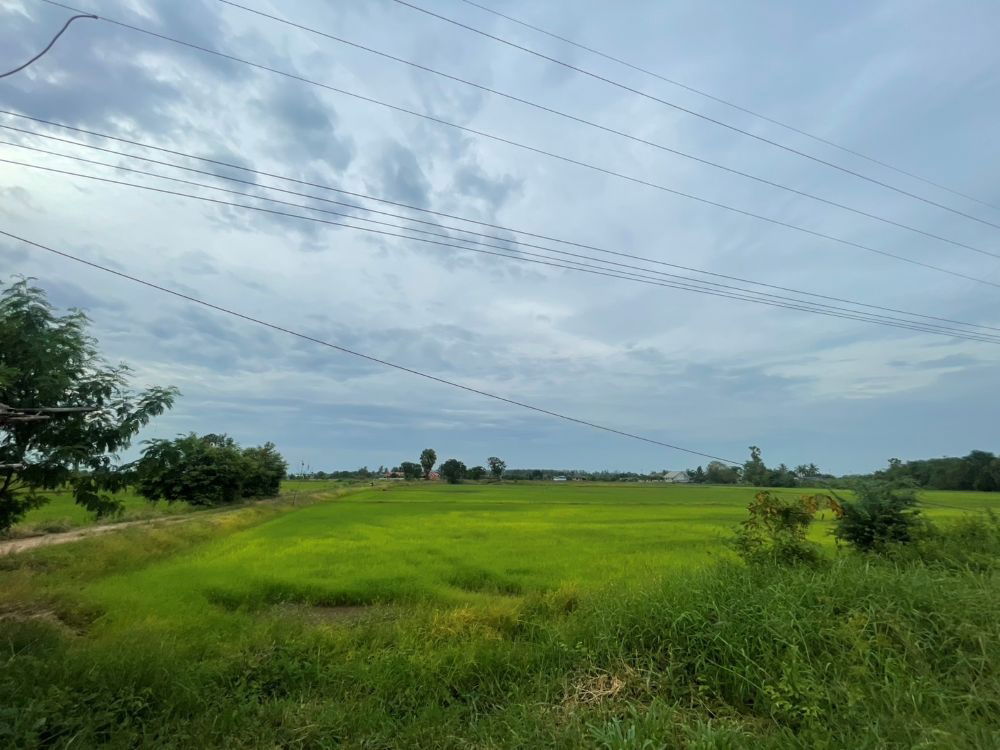รูป ขายที่ดินเปล่า ขนาด 24 ไร่ ทำเลทอง บรรยากาศร่มรื่น ใกล้แหล่งชุมชน ต.หัวสำโรง ฉะเชิงเทรา - รูปที่ 8/15