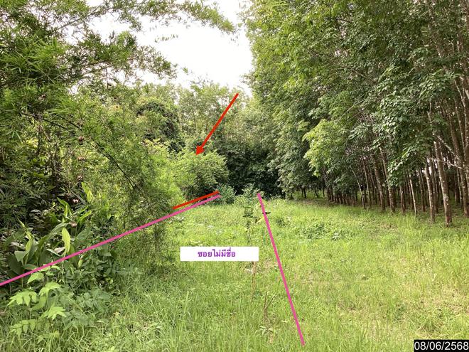 picture LAND for sale  Song Dao Song Dao Sakon Nakhon - 8/24