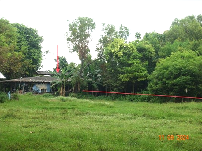 picture HOME for sale  Nikhom Satuk Buri Ram - 4/16