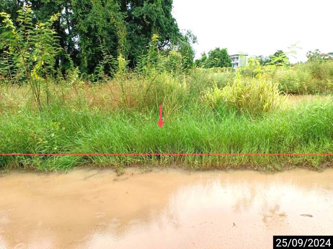 รูป ที่ดินว่างเปล่า สำหรับขาย - เมืองเก่า เมืองขอนแก่น ขอนแก่น - รูปที่ 1/12