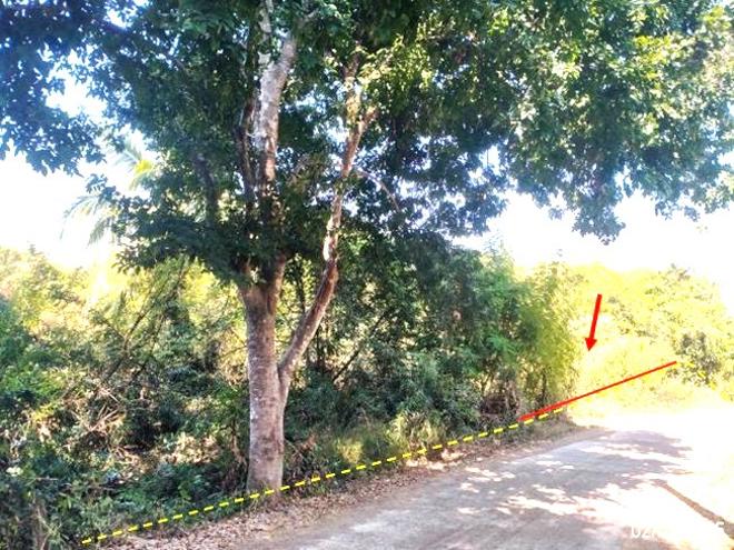 รูป ที่ดินว่างเปล่า สำหรับขาย - สามพร้าว เมืองอุดรธานี อุดรธานี - รูปที่ 2/20