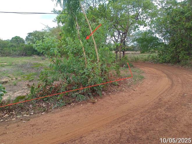 picture LAND for sale  Nong Muang Muang Samsip Ubon Ratchathani - 4/24