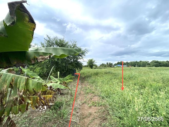 รูป ที่ดินว่างเปล่า สำหรับขาย - วังชมภู เมืองเพชรบูรณ์ เพชรบูรณ์ - รูปที่ 6/24