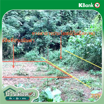 รูป ที่ดินว่างเปล่า สำหรับขาย - ทับเที่ยง เมืองตรัง ตรัง - รูปที่ 16/18