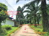 listing thumbnail image 25