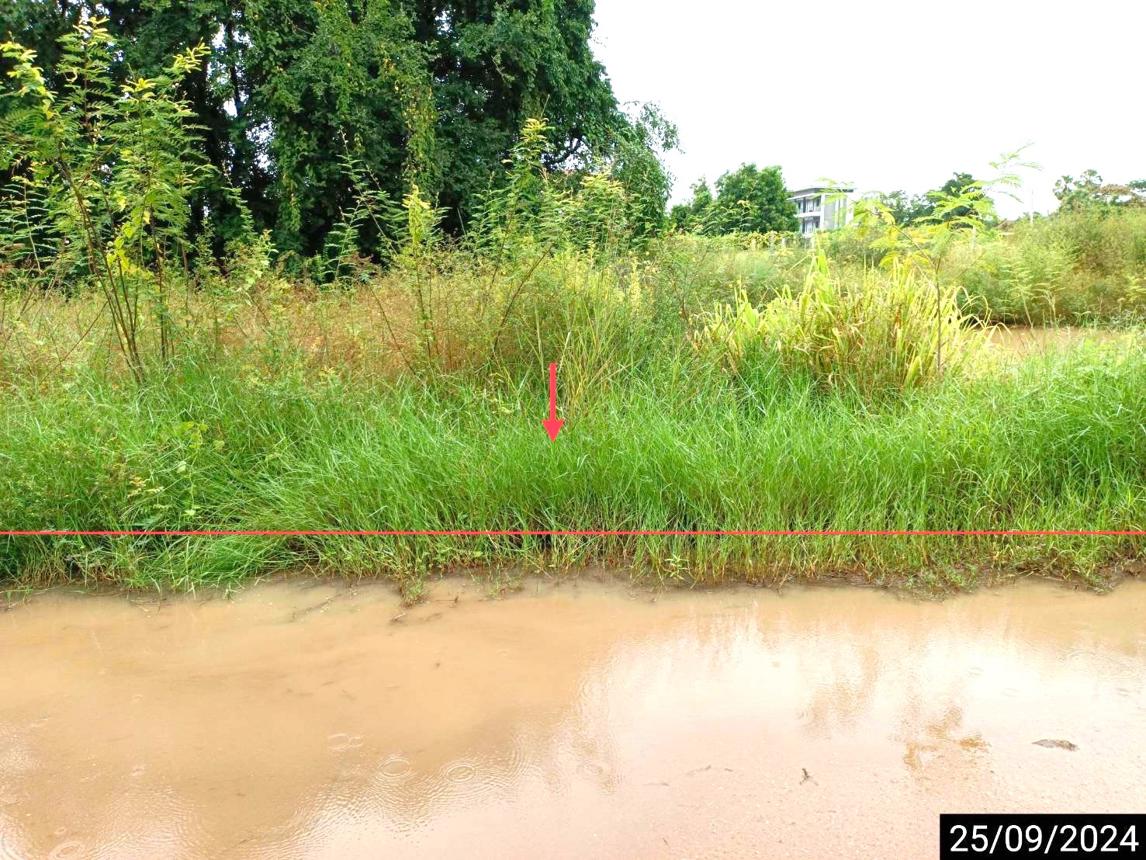 รูป ที่ดินว่างเปล่า สำหรับขาย - เมืองเก่า เมืองขอนแก่น ขอนแก่น - รูปที่ 5/12