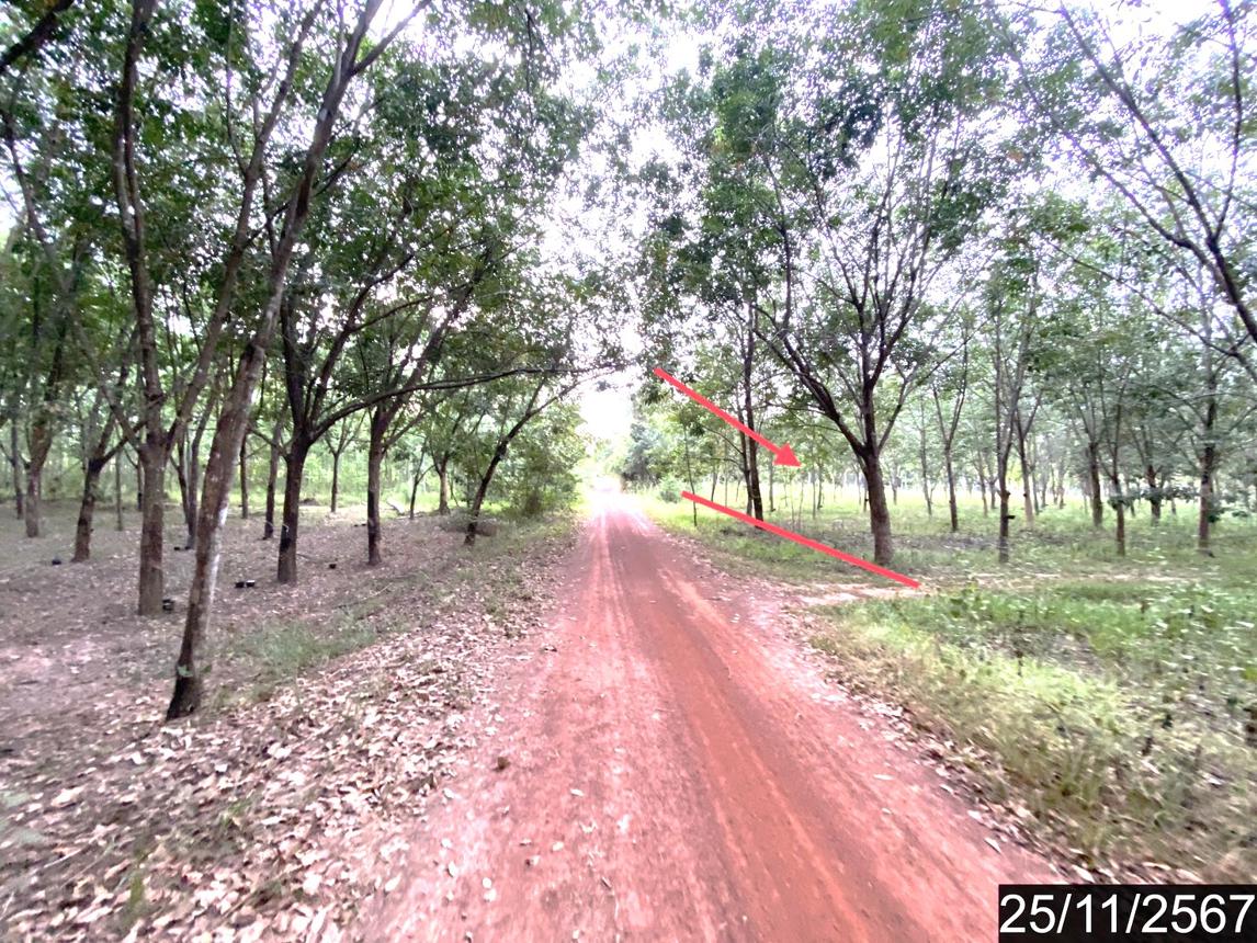 รูป ที่ดินว่างเปล่า สำหรับขาย - ขอนยูง กุดจับ อุดรธานี - รูปที่ 16/24