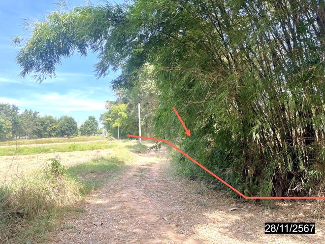 รูป บ้านเดี่ยว สำหรับขาย - ดงใหญ่ วาปีปทุม มหาสารคาม - รูปที่ 10/24