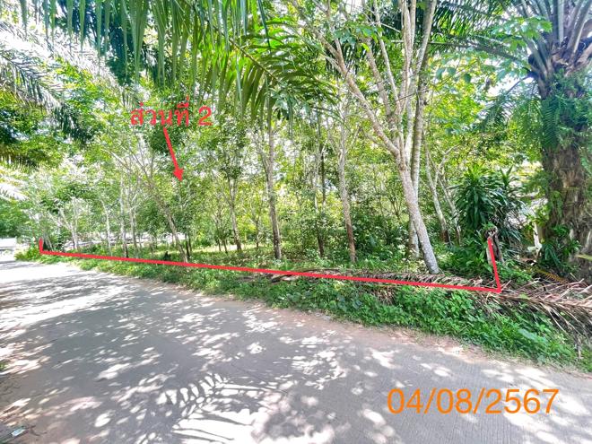 รูป บ้านเดี่ยว สำหรับขาย - คลองพน คลองท่อม กระบี่ - รูปที่ 7/24