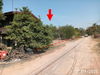 listing thumbnail image 17