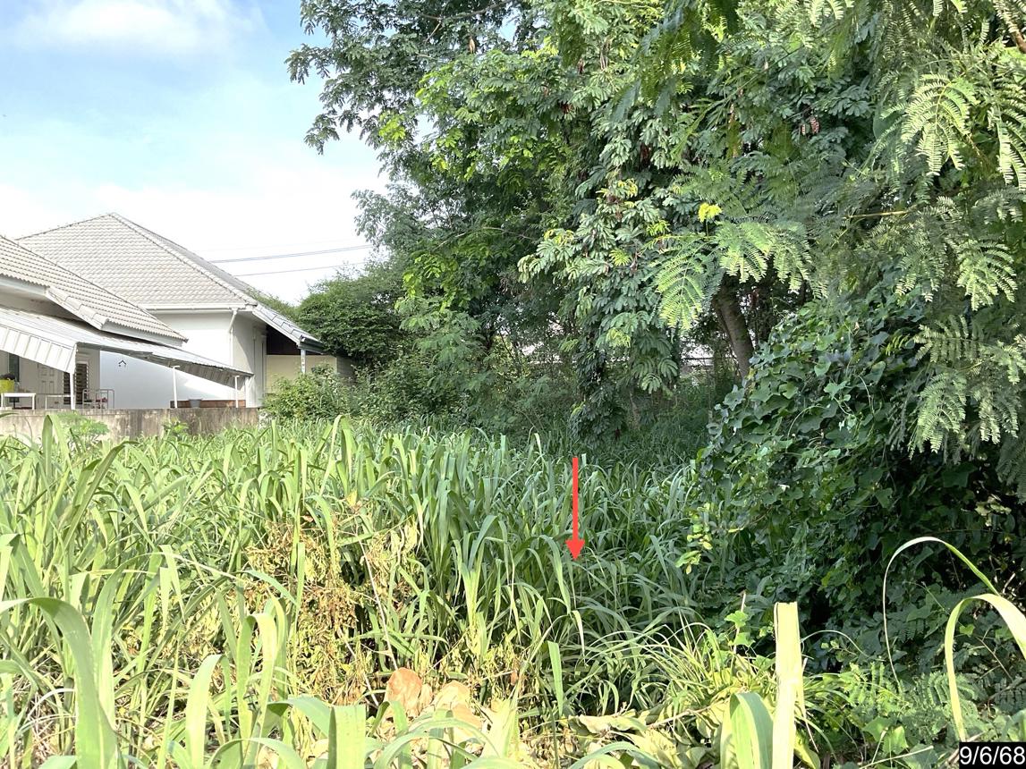 picture LAND for sale  Muang Kao Muang Khon Kaen Khon Kaen - 11/18
