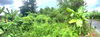 listing thumbnail image 10