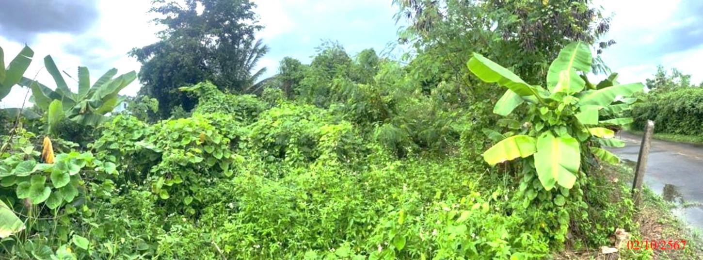 picture LAND for sale  Phichai Muang Lampang Lamphang - 11/20