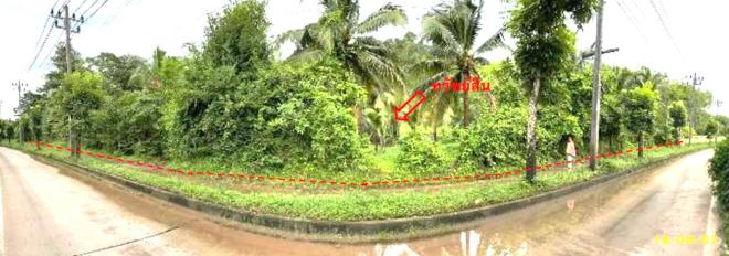 รูป บ้านเดี่ยว สำหรับขาย - บางเป้า กันตัง ตรัง - รูปที่ 7/24