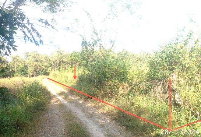 รูป ที่ดินว่างเปล่า สำหรับขาย - เตาปูน สอง แพร่ - รูปที่ 6/20