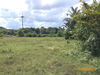 listing thumbnail image 26