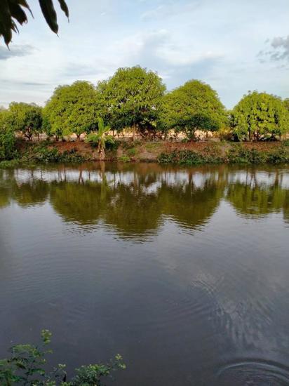 รูป บ้านเดี่ยว สำหรับขาย  บางเลน บางเลน นครปฐม - รูปที่ 4/12