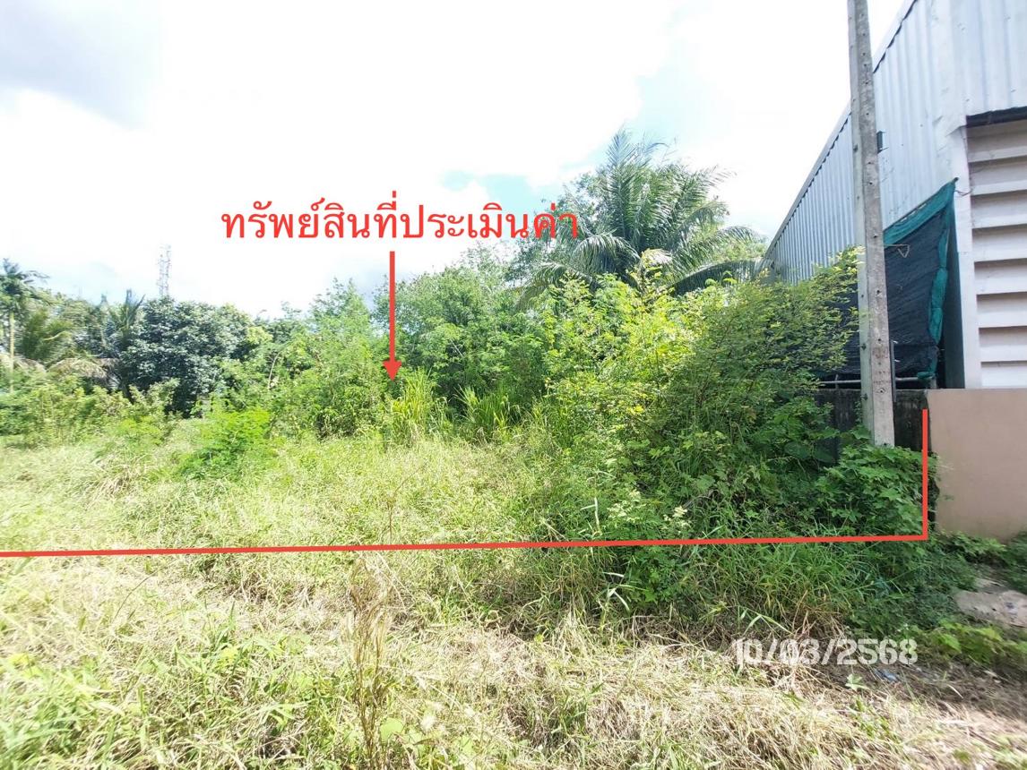 รูป บ้านเดี่ยว สำหรับขาย - วัดประดู่ เมืองสุราษฎร์ธานี สุราษฎร์ธานี - รูปที่ 19/26