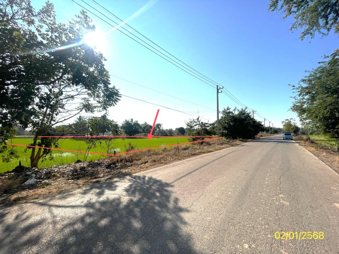 picture LAND for sale  Wang Phikun Wang Thong Phitsanulok - 10/18