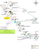 listing thumbnail image 21