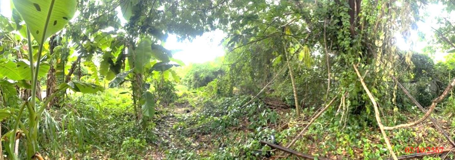 picture LAND for sale  Phichai Muang Lampang Lamphang - 13/20