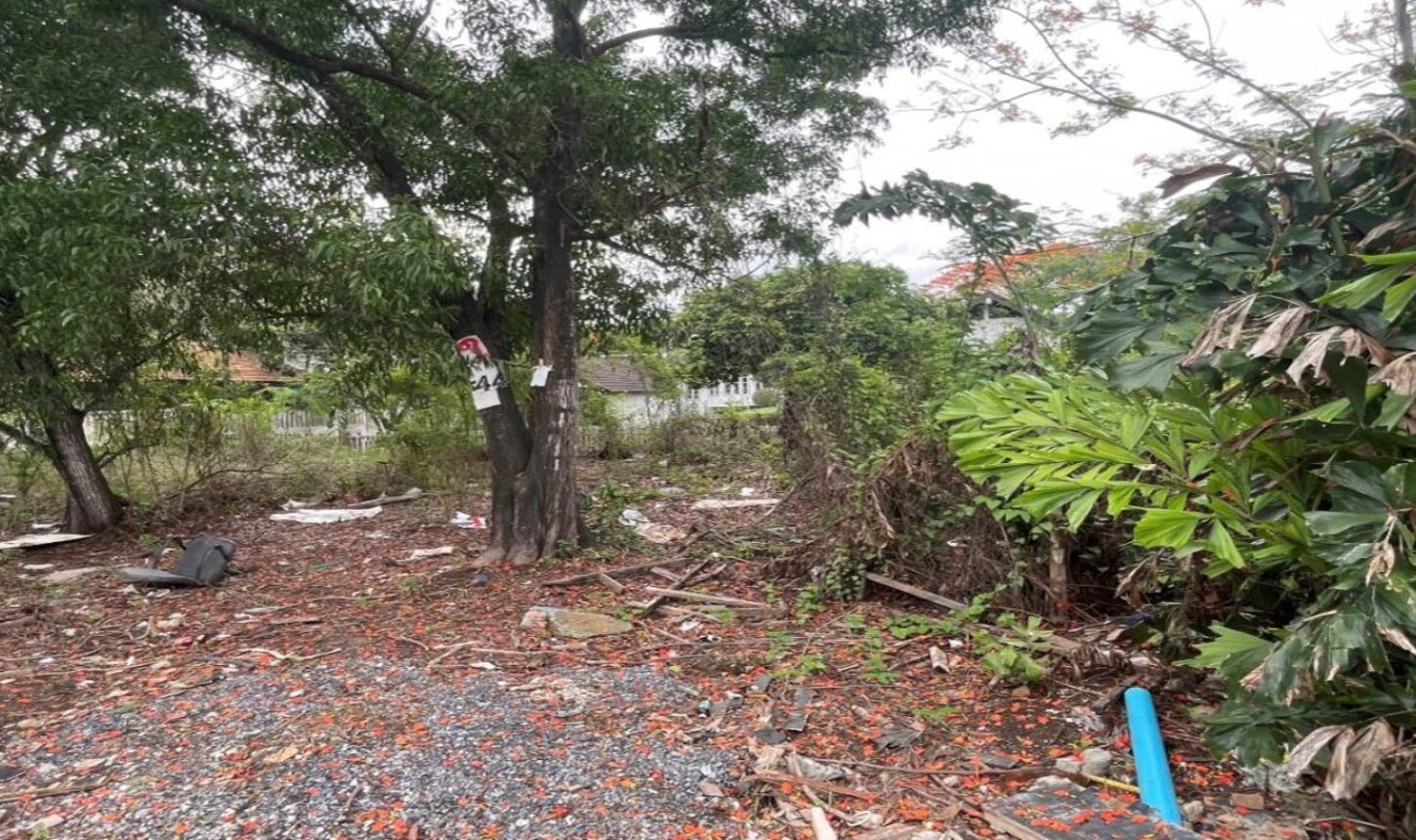 รูป ที่ดินว่างเปล่า สำหรับขาย  คันนายาว เขตคันนายาว กรุงเทพมหานคร - รูปที่ 6/10