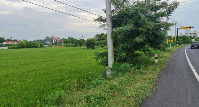 picture LAND for sale  Pho Phraya Muang Suphanburi Suphanburi - 4/14