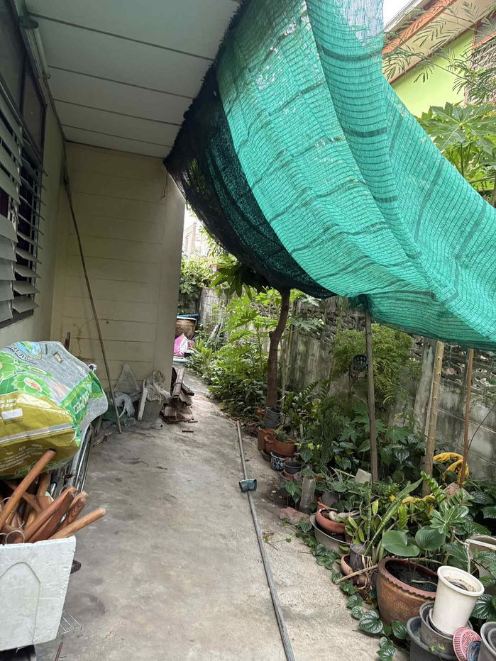 picture For sale: detached house 52 square wah, Ban Seri-On Nut Soi 1. - 16/25
