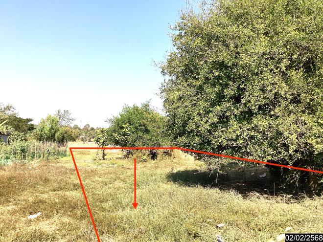 picture LAND for sale  Song Dao Song Dao Sakon Nakhon - 3/18